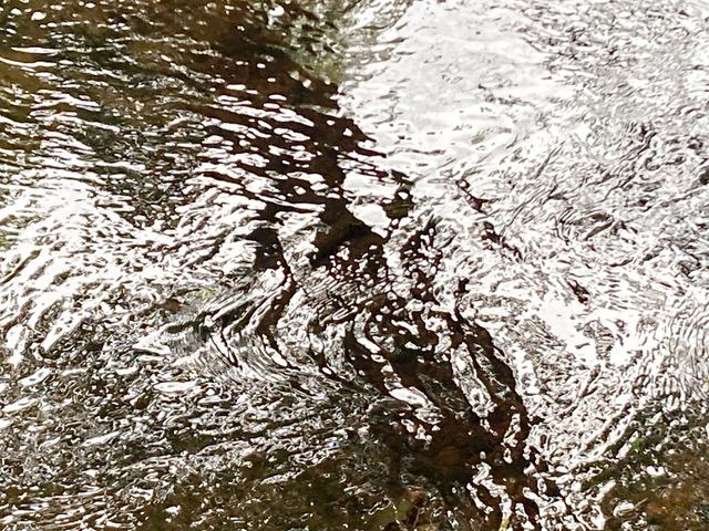 Nahaufnahme einer bewegten Wasseroberfläche mit Lichtreflexionen. Wellen und Strömungen erzeugen abstrakte Muster in silbrigen und dunklen Farbtönen.